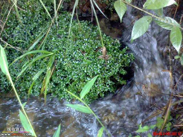 [ԭ��]�������ϼ��б�����������