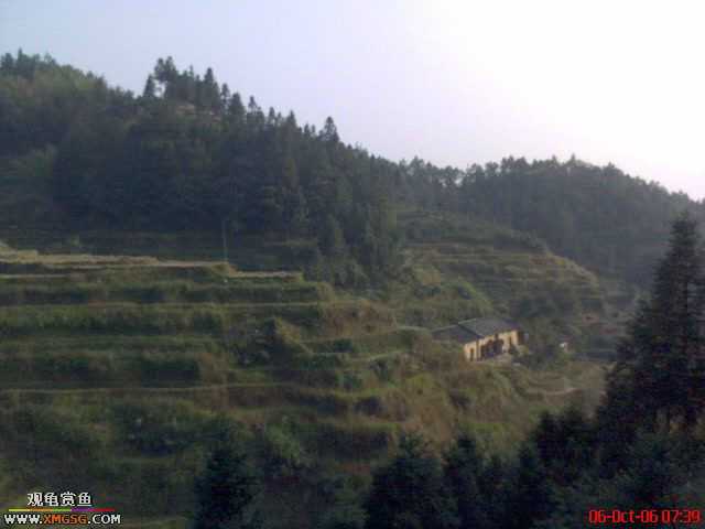 [ԭ��]�������ϼ��б�����������