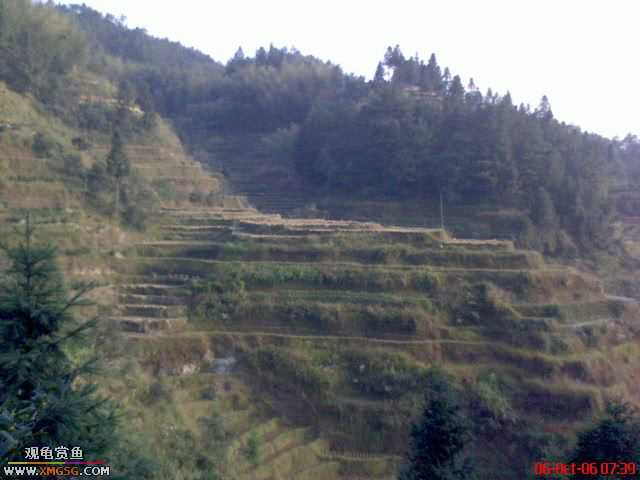 [ԭ��]�������ϼ��б�����������