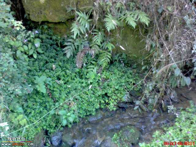 [ԭ��]�������ϼ��б�����������