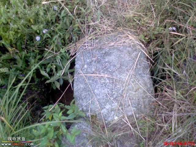 [ԭ��]�������ϼ��б�����������