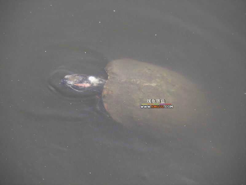 ǰЩʱ���������ĵ�