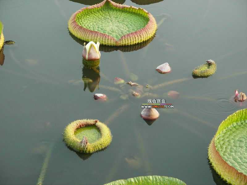 ǰЩʱ���������ĵ�