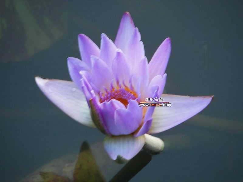 ǰЩʱ���������ĵ�