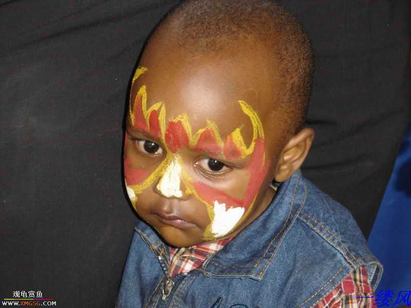 �ڿϵ�һ��ĸ��ܺͲ�����Ƭ