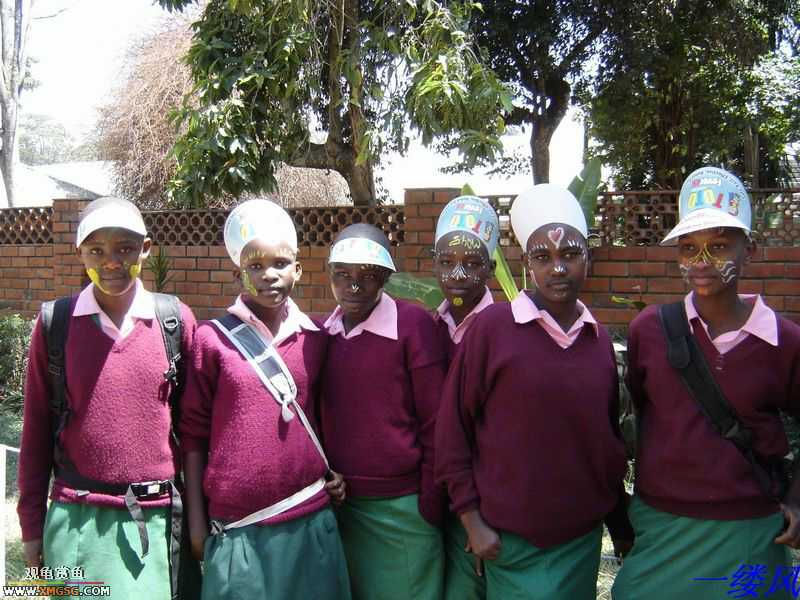 �ڿϵ�һ��ĸ��ܺͲ�����Ƭ