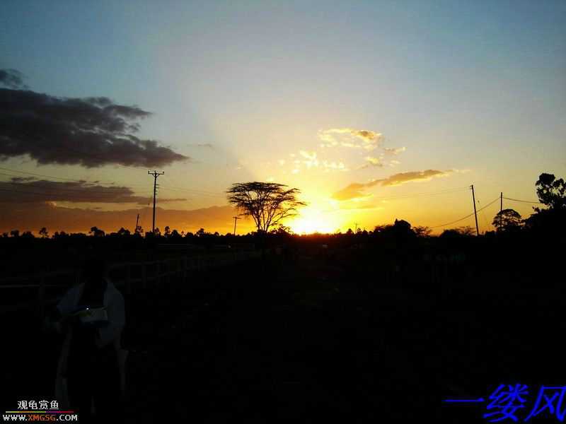 �ڿϵ�һ��ĸ��ܺͲ�����Ƭ