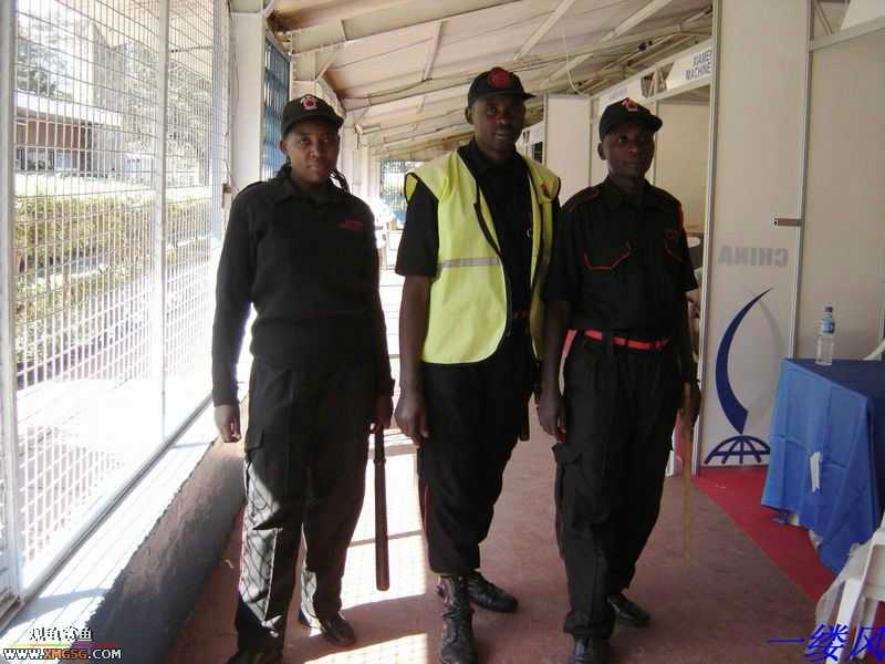 �ڿϵ�һ��ĸ��ܺͲ�����Ƭ