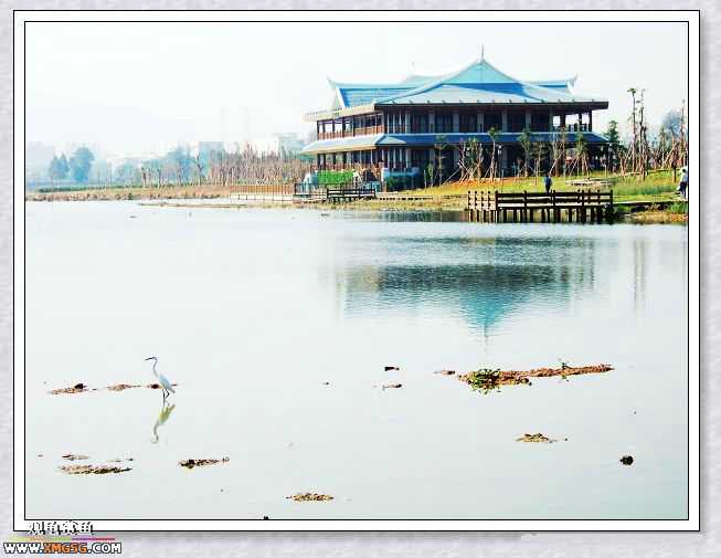 11��4����Ե��ʪ�ع�԰���񲿷�PP