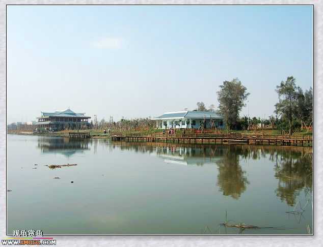 11��4����Ե��ʪ�ع�԰���񲿷�PP