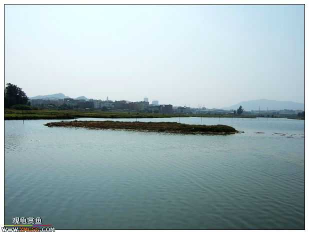 11��4����Ե��ʪ�ع�԰���񲿷�PP