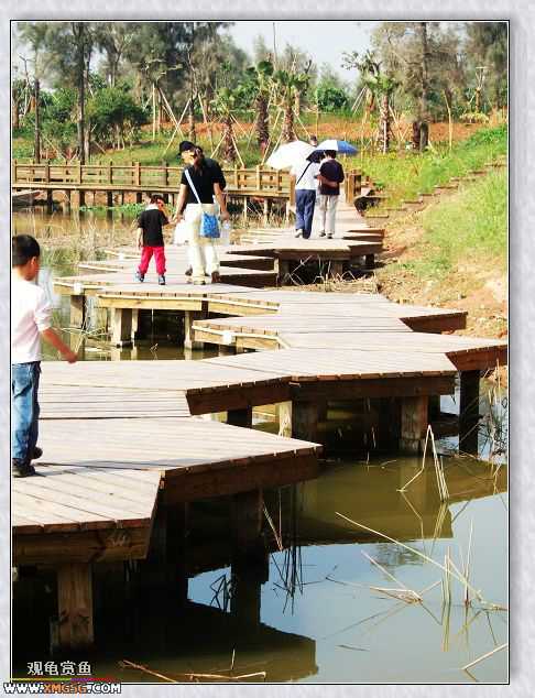 11��4����Ե��ʪ�ع�԰���񲿷�PP