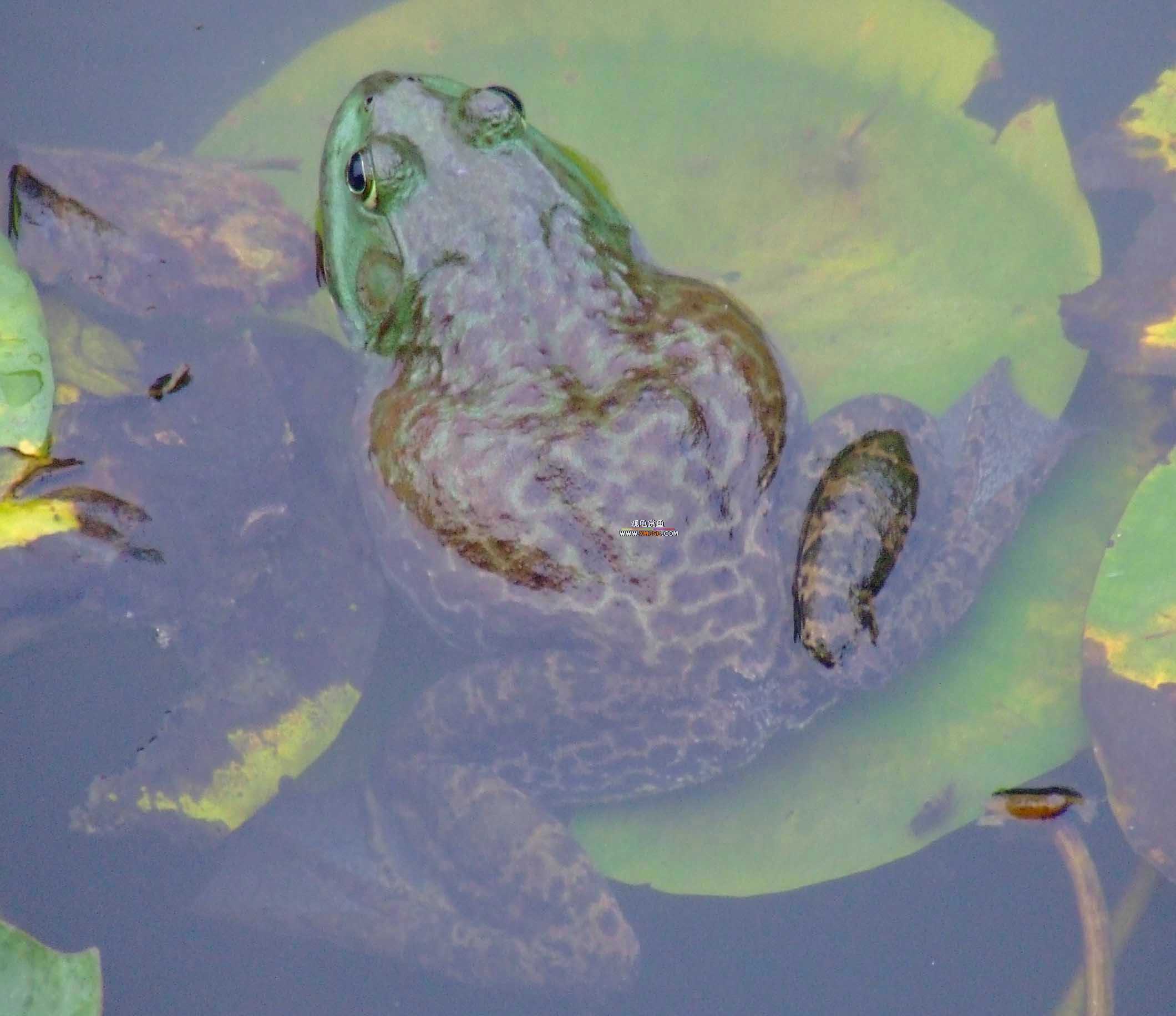 ǰЩʱ���������ĵ�