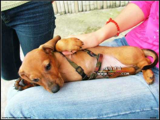 [��ͼ]������ҵ����һ��2006��ɽ����¥