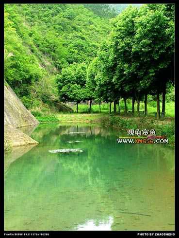 [��ͼ]������ҵ������2006��̩ǧ����ũ��