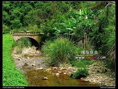 [��ͼ]������ҵ������2006��̩ǧ����ũ��