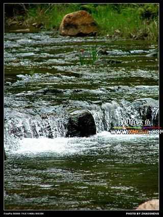 [��ͼ]������ҵ������2006��̩ǧ����ũ��