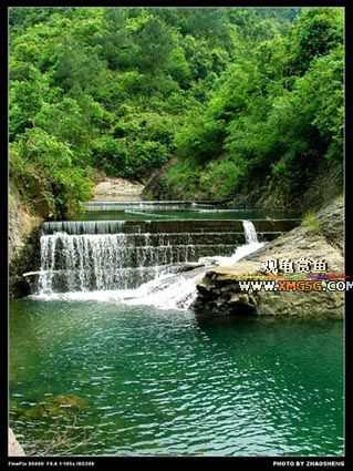 [��ͼ]������ҵ������2006��̩ǧ����ũ��