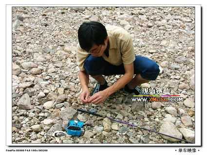 [��ͼ]������ҵ������2006��̩ǧ����ũ��