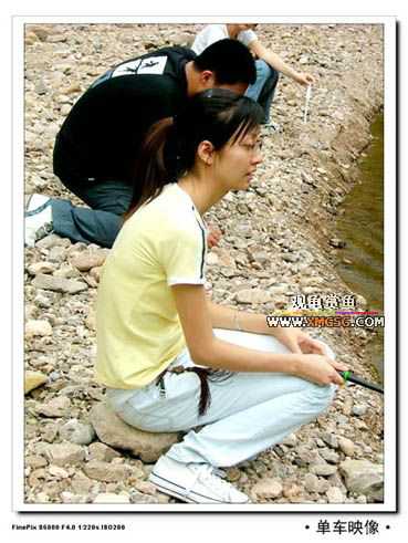 [��ͼ]������ҵ������2006��̩ǧ����ũ��