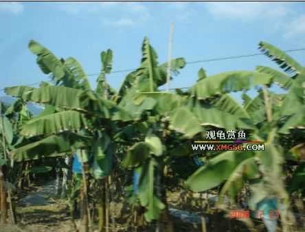 ������ջ�