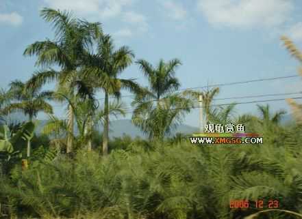 ������ջ�