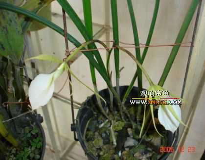 ������ջ�