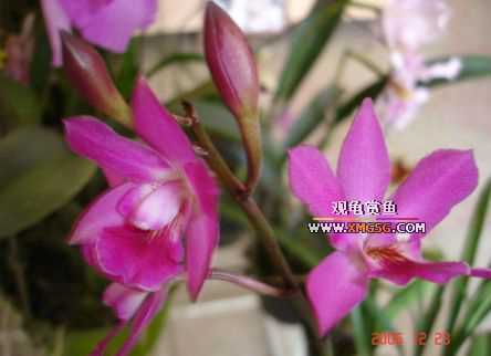 ������ջ�