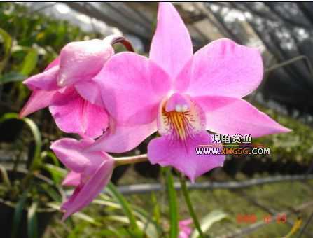 ������ջ�