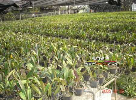 ������ջ�