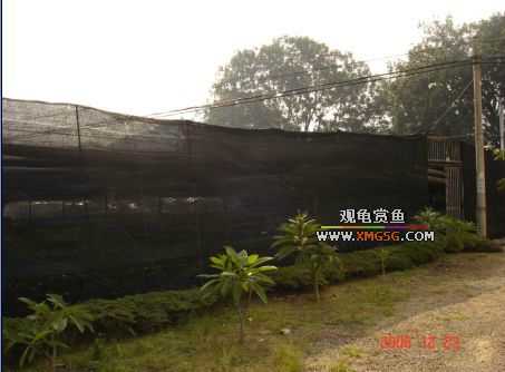 ������ջ�