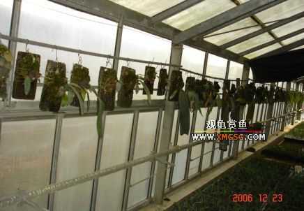 ������ջ�