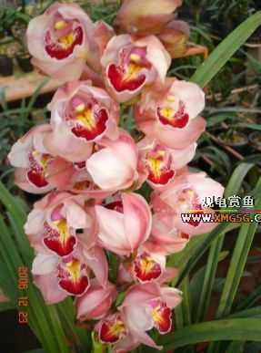 ������ջ�