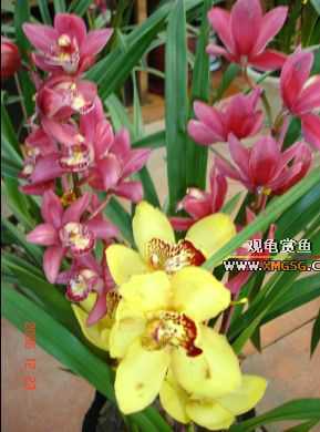 ������ջ�