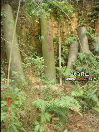 ��ĩ����һ����