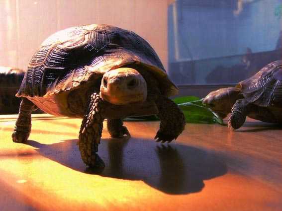 һ��ǰ�����������������س�����ʳ����