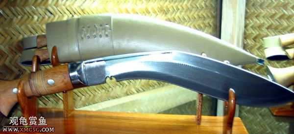 ��Щ������Ƭ