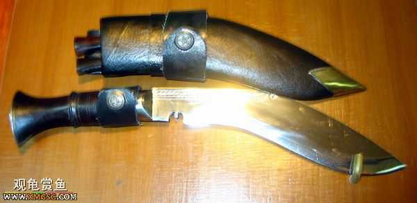 ��Щ������Ƭ