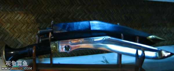 ��Щ������Ƭ