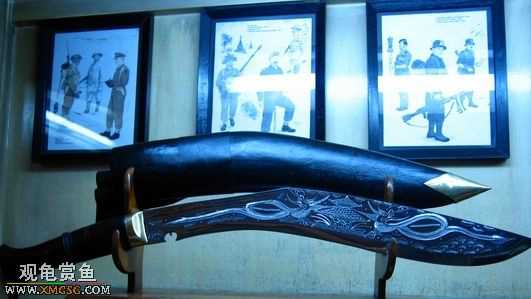 ��Щ������Ƭ