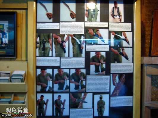 ��Щ������Ƭ