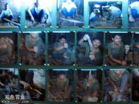 ��Щ������Ƭ