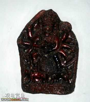 ��Щ������Ƭ