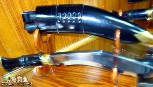 ��Щ������Ƭ