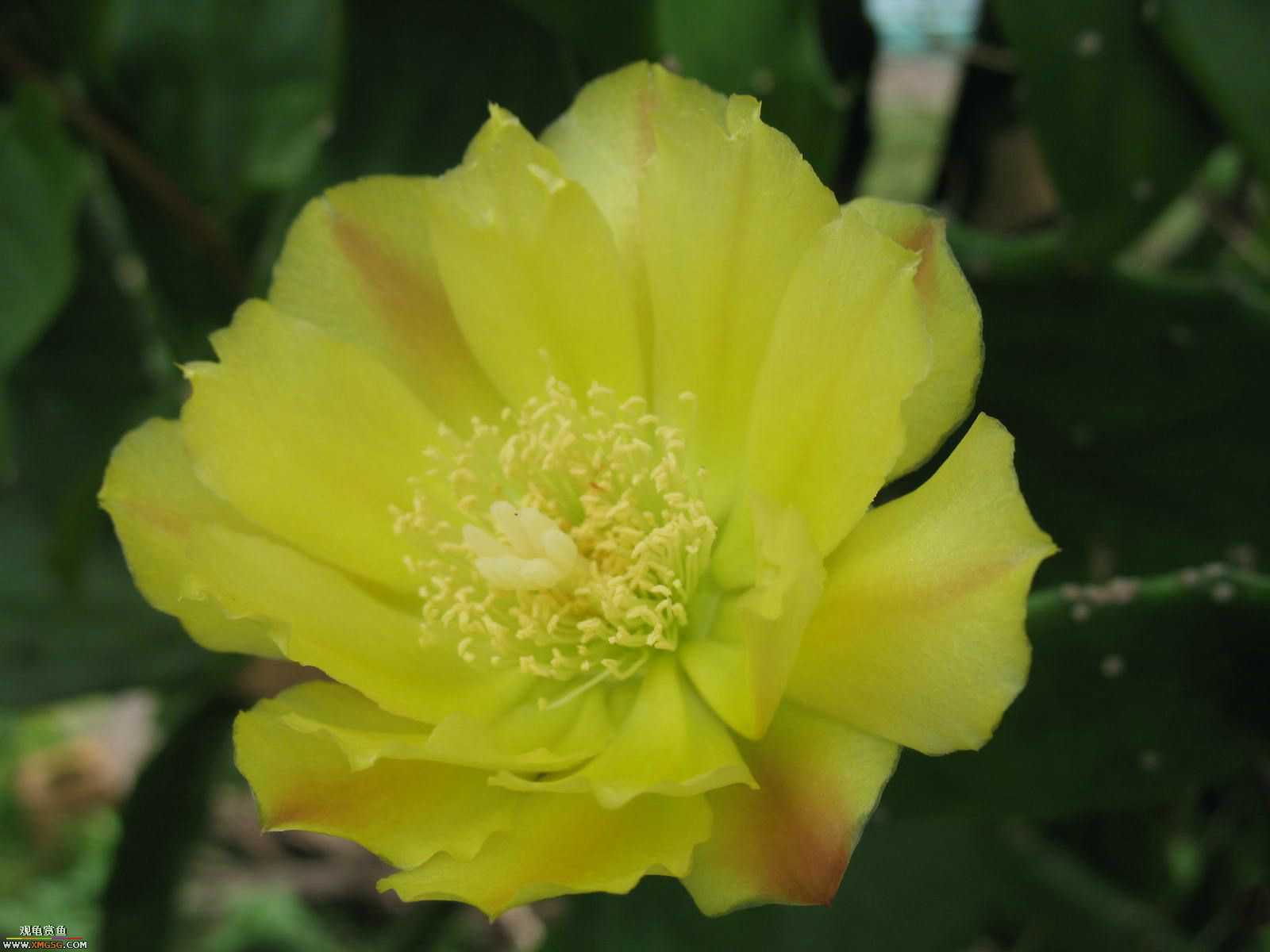 �����������ȥ����