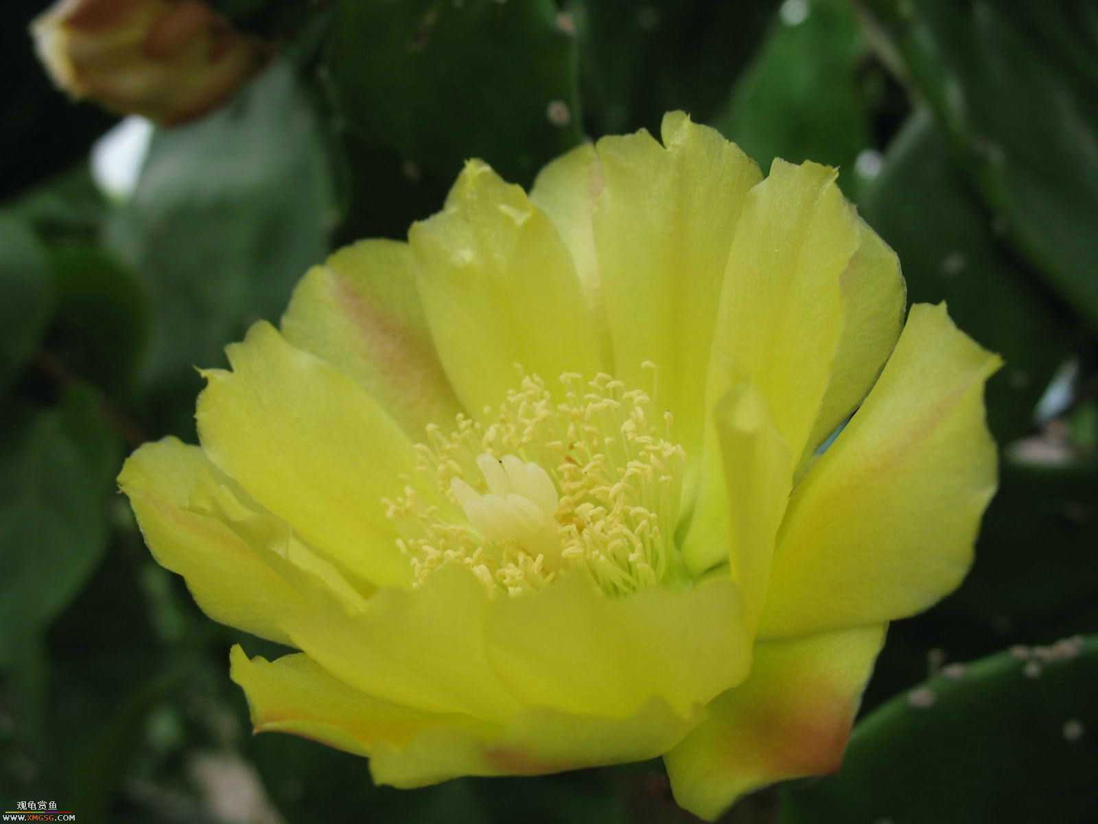 �����������ȥ����