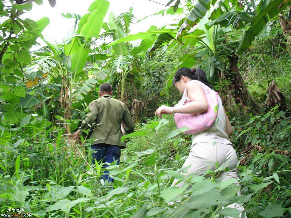 �����������ȥ����