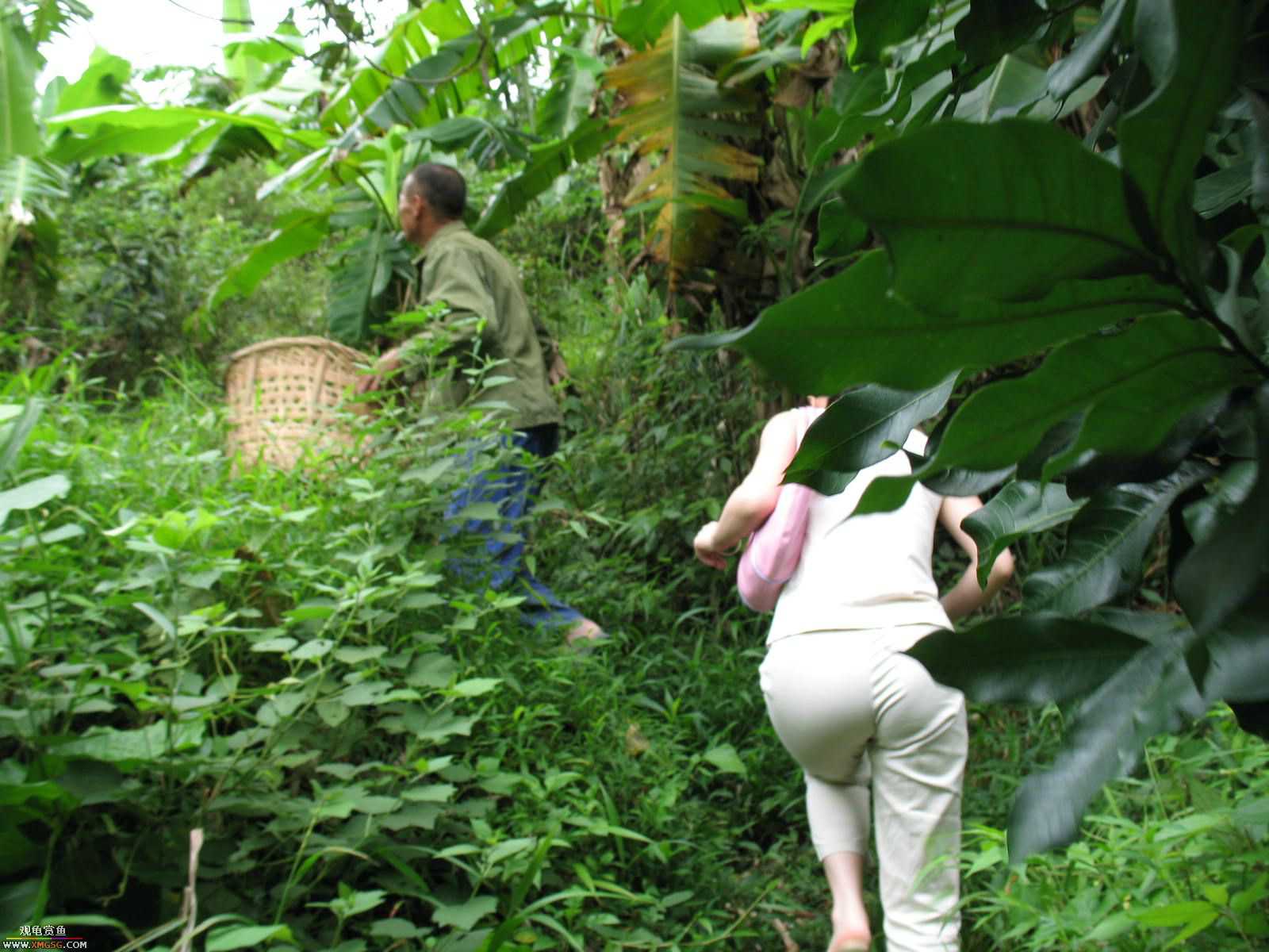 �����������ȥ����