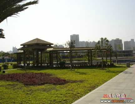 ������Ӱ