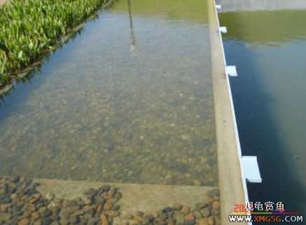 ������Ӱ